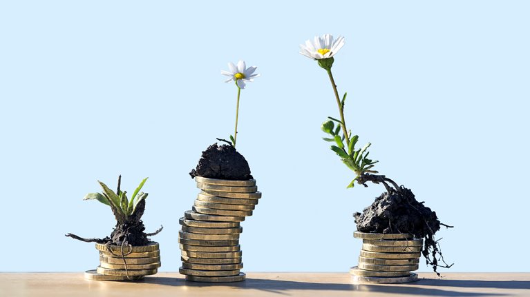 Three stacks of coins of different heights. Small daisy seedlings of varying maturity are placed on top of each stack.